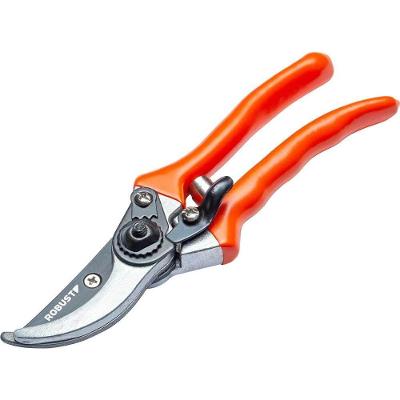 Tesoura Para Poda, 8, S93300008 Robust Ostenvonder