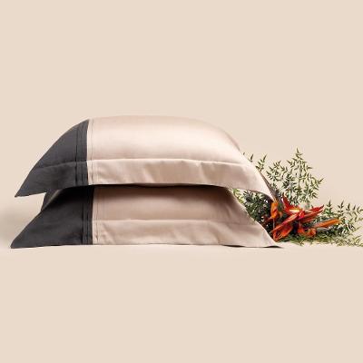 Jogo De Fronha Altenburg Haus Valentim 50cm X 70cm Bege