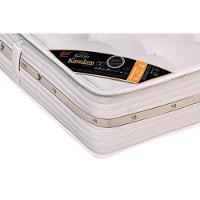 Cama Box King: Colchão Molas Ensacadas Castor Pocket Kingdom Aloe Vera + Base White(193X203)