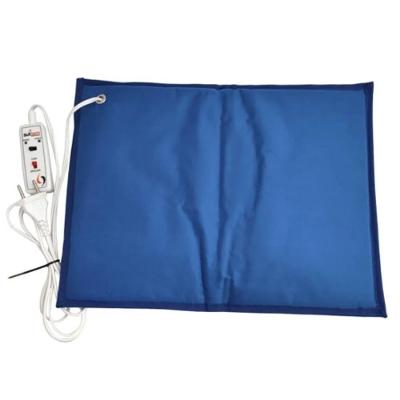 Almofada Térmica Sulterm 47x57cm Tradicional Duas Termperaturas 220V