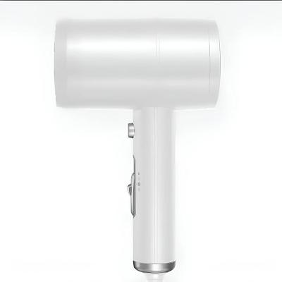 Secador De Cabelo Profissional Cabelereiro Beleza 220V