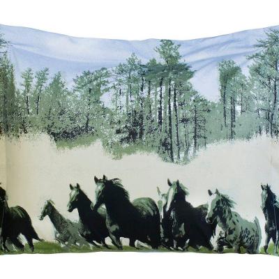 Porta Travesseiro Decorativo Desire Estampado 1 Peça Percal 200 Fios 100% Algodão - Estampa Texas