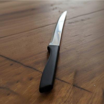 Jogo De Talheres Inox 24 Peças Cabene Cabo Plástico Preto