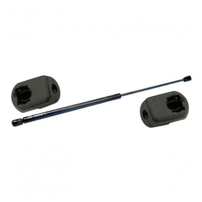 Amortecedor de Mola a Gás da Tampa do Porta-malas C4 Hatch 06 a 14 Citroen Amortex