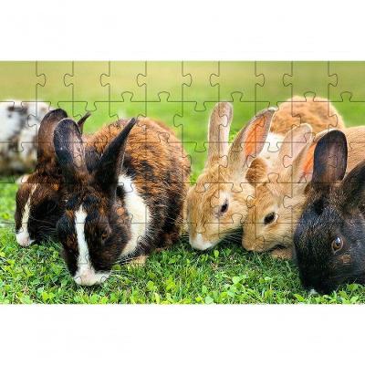 Kit 4 Quebra-cabeças de Coelhos 60 Peças para Estimular Memória Coleção Tea e Amor
