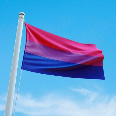Bandeira Avulsa Orgulho Lgbt Cores Em Cetim Brilhante - Tamanho Grande 1,20m X 85cm Cor Bissexual