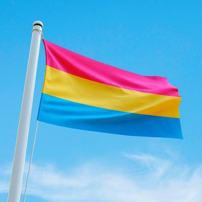 Bandeira Avulsa Orgulho Lgbt Cores Em Cetim Brilhante - Tamanho Grande 1,20m X 85cm Cor Pansexual