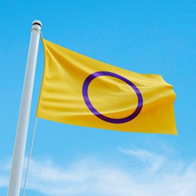 Bandeira Avulsa Orgulho Lgbt Cores Em Cetim Brilhante - Tamanho Grande 1,20m X 85cm Cor Intersexual