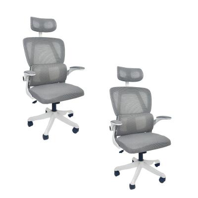 Kit 2 Cadeiras De Escritório Oficial Legacy Cinza