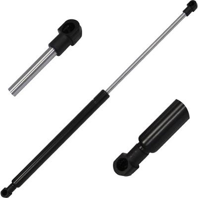 Amortecedor de Tampa do porta-malas Modelo F103 Peugeot 307 2002 a 2011 Amortex