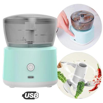 Mini Processador Elétrico Moedor Alimentos Alho Legumes Usb - Azul