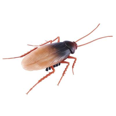 Barata Robótica Robo Alive - Robótica Robo