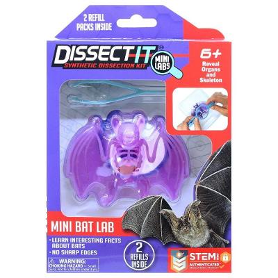 Kit De Dissecação Mini Lab Dissect-it - Morcego