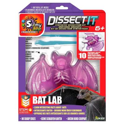 Kit De Dissecação Com Refil Lab Dissect-it - Morcego