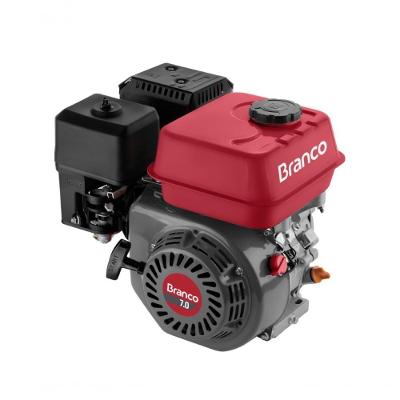 Motor Gasolina 7,0Cv Eixo H Partida Manual Sem Alerta B4T-7.