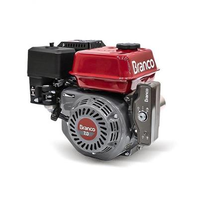 Motor Gasolina 7,0Cv Eixo H Partida Elétrica Com Alerta B4T-