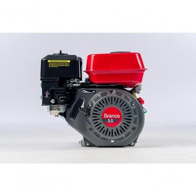Motor Gasolina 5,5Cv Eixo H Partida Manual Sem Alerta B4T-5.