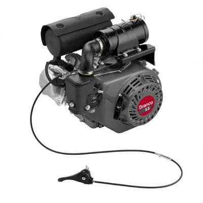 Motor Gasolina 4T 5,5Cv 163Cc Partida Manual Para Compactado