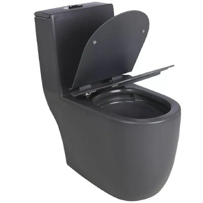 Vaso Sanitário Monobloco Roma SAN 012 de Piso Dual Flush Grafite