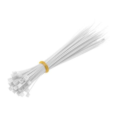 Abraçadeira de Nylon 2,5 X 10CM Pacote 100 Unidades Alta Resistência Branca Western