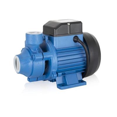 Bomba Periférica 0.5cv Pg-05 Little Giant (schneider) 110v