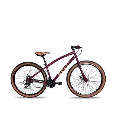 Bicicleta Aro 29 Vancouver 21 Marchas Freio A Disco Colli