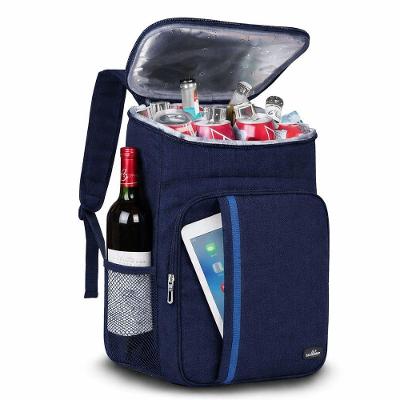 Mochila Térmica Espaçosa à Prova De Vazamentos Para Trabalho, Academia E Passeios - Azul