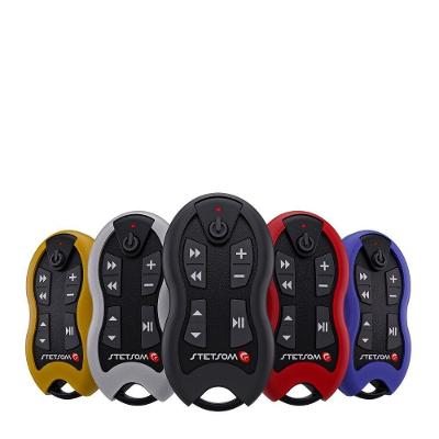 Controle Remoto para Áudio e Vídeo Automotivo Ou Residencial SX1 Grafite com 8 Funções Stetsom