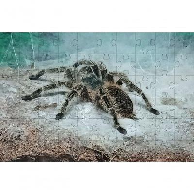 Quebra-cabeças Educativo Aranha de 60 Peças para Idosos com Estímulo à Memória Coleção Tea e Amor
