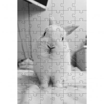 Quebra-cabeça Kit 2 Inclusivos Beleza dos Coelhos em 40 Peças Grandes para Idosos Coleção Tea e Amor