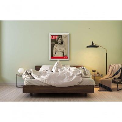Quadro Decorativo o Brilho de Hollywood Retangular 60x40CM Marrom