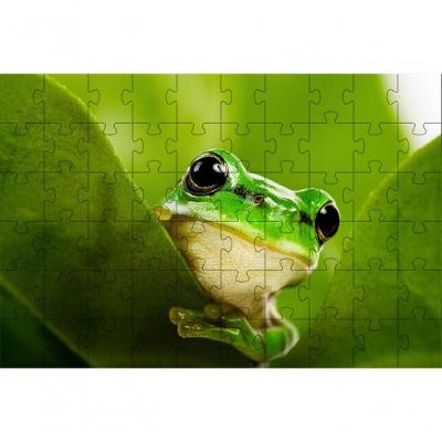 Quebra-cabeça Micro Sapo Verde de 300 Peças em MDF Indicado para Idosos com Relaxamento Verde