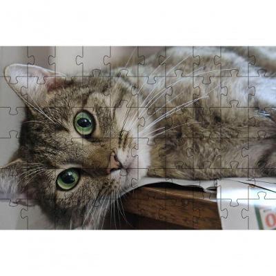 Kit 2 Quebra-cabeça Gatos Espertos Inclusivo com 24 Peças Grandes Coleção Tea e Amor