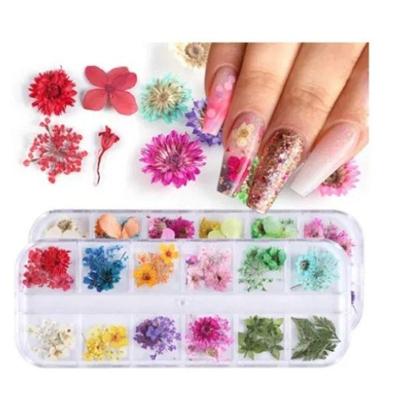 Flores Secas para Unhas 12 Encapsulamento Decoração Uv Led OEM
