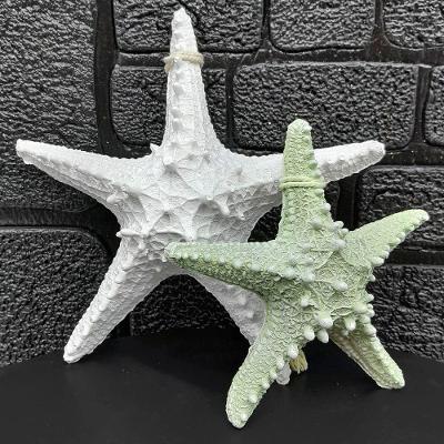 Enfeite Decorativo Estrela do Mar Decorativa Kit 2 Peças