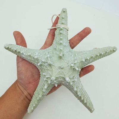 Enfeite Decorativo Estrela do Mar Decorativo em Resina Resistente Verde Outras Marcas
