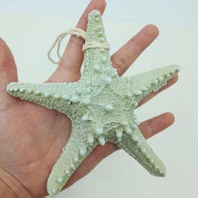 Enfeite Decorativo Estrela do Mar Decorativo em Resina Realista com Acabamento Detalhado Verde
