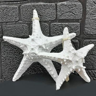 Enfeite Decorativo Estrela do Mar Decorativa Kit 2 Peças em Resina Detalhada Branco Outras Marcas