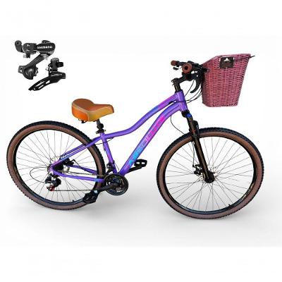 Bicicleta Aro 29 Feminina Absolute Hera Retrô Vintage 21v Shimano Selim Confortável Cesta Lilas Tamano 17