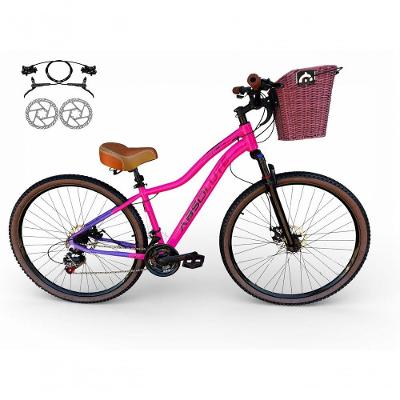 Bicicleta Aro 29 Feminina Absolute Hera Retrô Vintage 21v Hidráulica Confortável Cesta Selim 2 Molas - Rosa/lilas Tam 15
