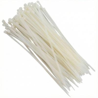 Abraçadeira De Nylon Foxlux 100x2.5mm Branca 100un