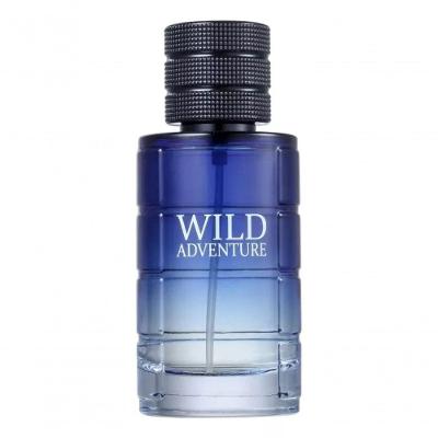 Perfume Wild Adventure Masculino Eau de Toilette Cítrico Aromático 100ML Linn Young