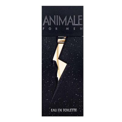 Perfume Animale-eau De Toilette Masculino 100ml