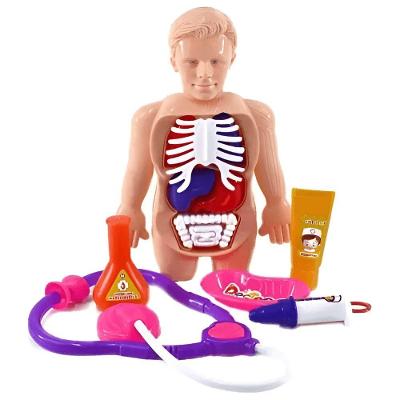 Kit Médico Infantil Corpo Humano 13 Peças com Boneco de Anatomia e Estetoscópio Well Kids