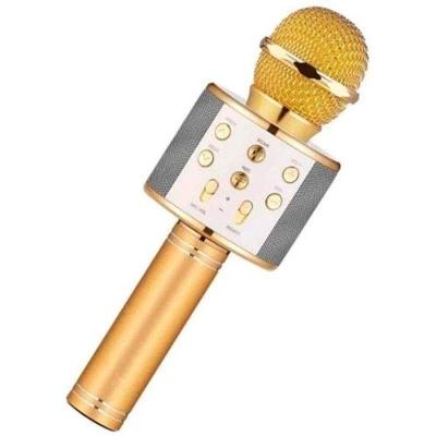 Microfone Infantil de Karaokê sem Fio Bluetooth Ws-858 com Auto-Tune Dourado OEM