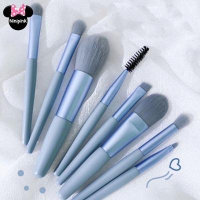 Kit de Pincéis de Maquiagem Kit 8 Peças para Aplicação com Case para Viagem Transparente OEM
