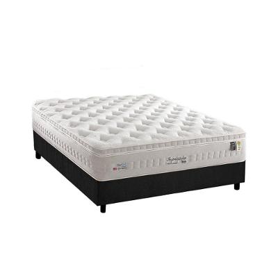 Cama Box Casal: Colchão Molas Anjos MasterPocket Ensacadas Impressione + Base CRC Suede Gray(138x188)