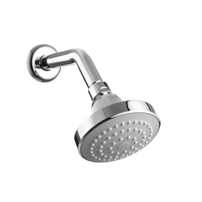 Chuveiro para Piscina e Área Externa Ducha Fria Articulada Funcionamento a Gás com Articulação Prata