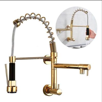 Torneira de Cozinha Gourmet Monocomando Parede Modelo Parede-Dupla-Dourada em Plástico ABS com Bica
