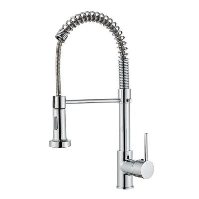 Torneira de Cozinha Torneira Gourmet 52 cm Malibu Água Fria de Bancada em Latão Cromado Prata OEM